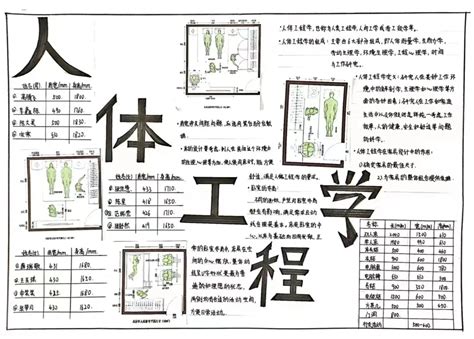 当下之年 (2025年)六个背：舒适工程学的颠覆性突破  第3张