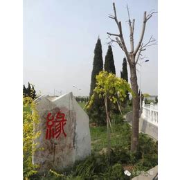 天津天福陵园 - 在售墓型-福贵苑一区