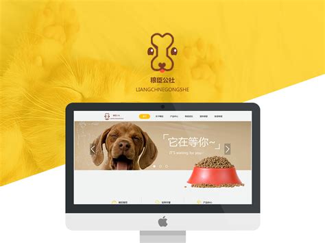 宠物网页设计_1UI设计-站酷ZCOOL