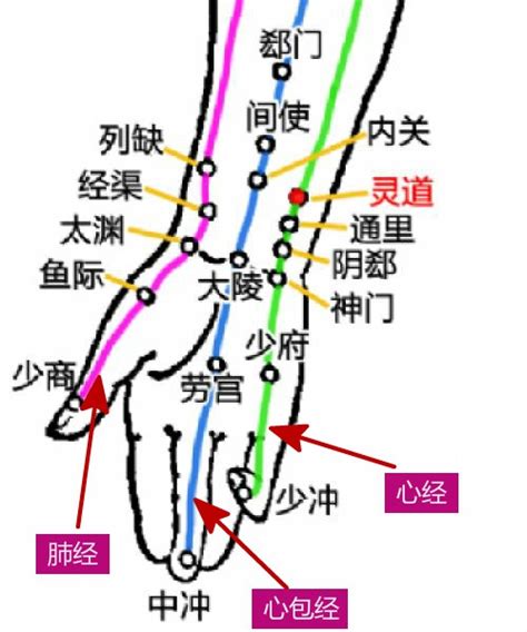 灵道的准确位置图图片