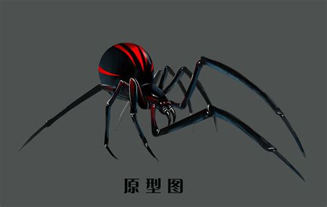黑蜘蛛图片
