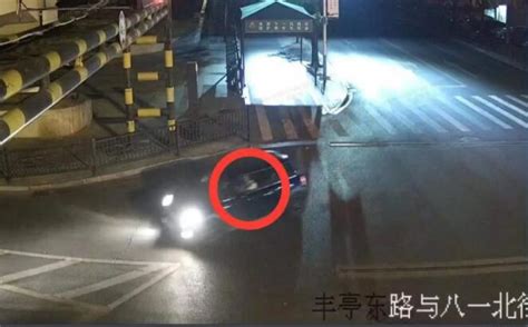 情侣酒后驾车撞护栏 女友主动替男友“顶包”被查_杭州网