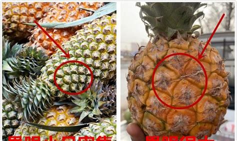 买菠萝时，聪明人遇到这5种不会买，水果贩子：从不让自家人吃__财经头条