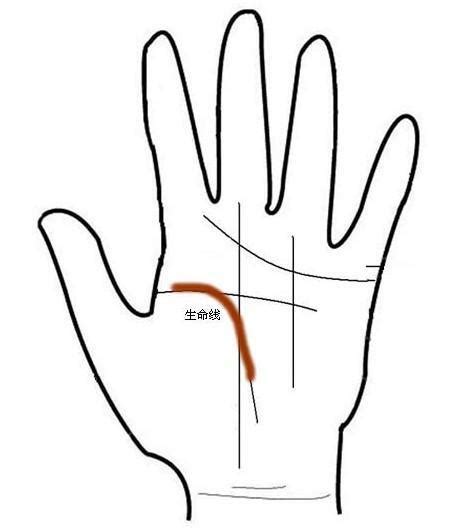 生命线看左手还是看右手（左右手都看） - 匠子生活