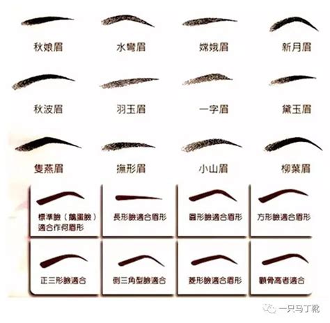 面相眉毛图解大全图片
