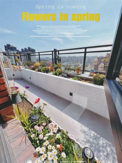 楼顶露台养花如何布置，一个露台花园养花布置实景案例给你参考 - 成都青望园林景观设计公司