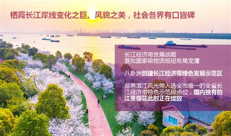 南京栖霞区2023年土地资源推介会召开 20宗优质地块曝光 - 土地 - 新房网