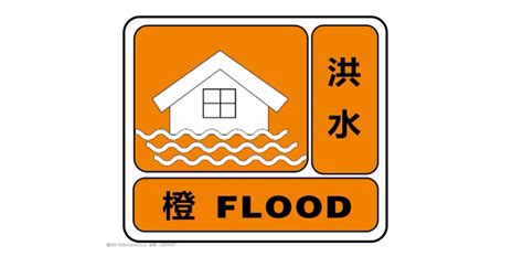 2020防洪遭遇洪水洪涝如何自救宣传海报图片下载 - 觅知网