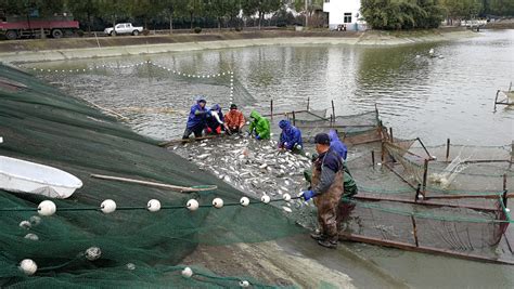 “中国渔政亮剑2023”贵州长江十年禁渔联合执法启动