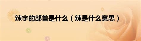 2019上海连锁加盟展：GO辣，一家主打制作新派的川菜料理美食的餐厅！-上海加盟展-上海连锁加盟展-上海特许加盟展