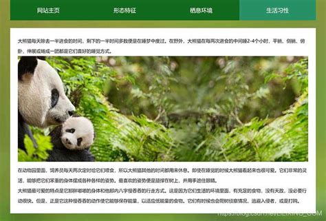 四川 大熊猫高清图片下载-正版图片500618333-摄图网