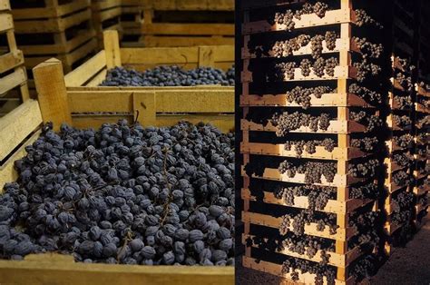 意大利阿玛罗尼原瓶进口干红葡萄酒750ml-广州高夫酒业有限公司-好酒代理网