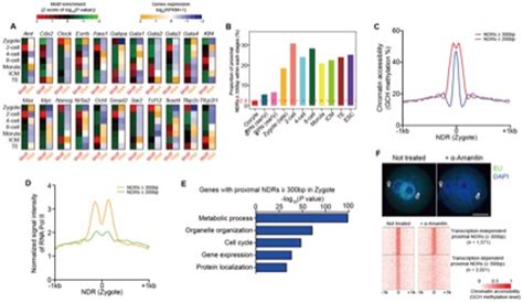 Fuchou Tang Labs Reported Latest Research of Single-cell Multi-omics ...