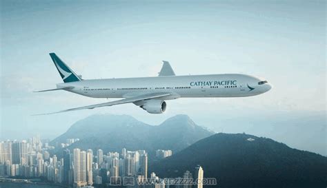 香港国泰航空公司标志logo设计理念和寓意_航空logo设计思路 -艺点创意商城