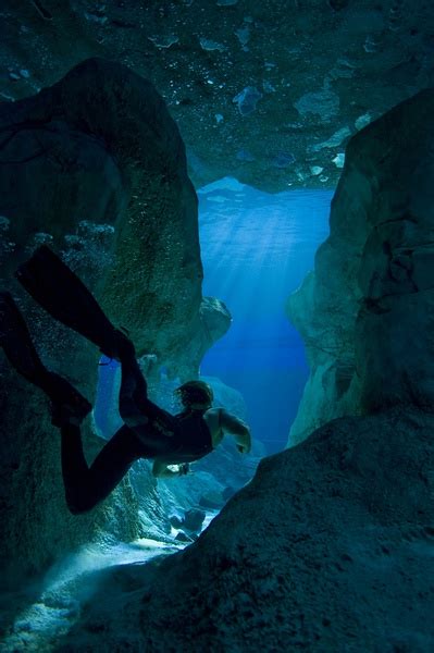 海底小纵队大电影：洞穴大冒险最新预告片