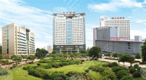 重庆市十大三甲医院排名(重庆市排名前十的三甲医院）-蓬莱百科网