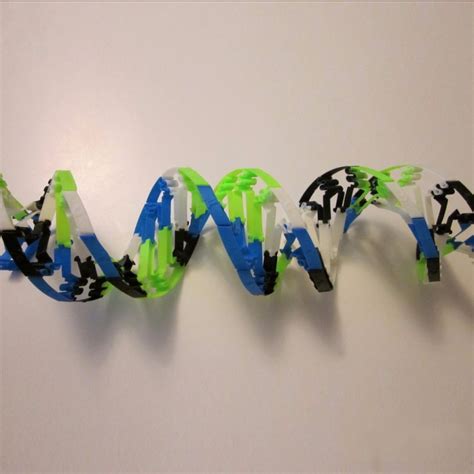 高二年级举办“DNA模型制作大赛”
