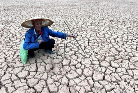 长江流域遇61年来最严重气象干旱……|干旱_新浪新闻