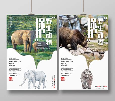 禁食野生动物海报设计-禁食野生动物设计模板下载-觅知网