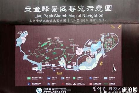2023立鱼峰风景区游玩攻略,鱼峰公园位于鱼峰路，上山只...【去哪儿攻略】