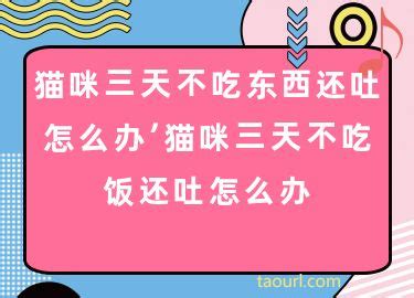 猫咪三天不吃东西还吐怎么办，猫咪三天不吃饭还吐怎么办-酷派宠物网