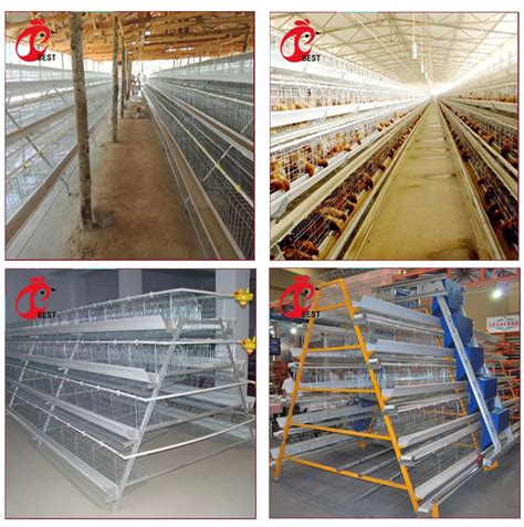 自动化养鸡设备 阶梯式鸡笼 养殖蛋鸡机械设备 自动化鸡笼-阿里巴巴