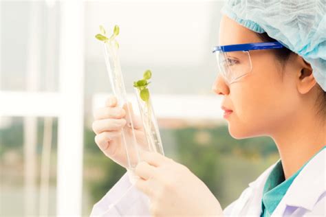 食品合成生物学：研究进展和未来方向-糖化学与生物技术教育部重点实验室