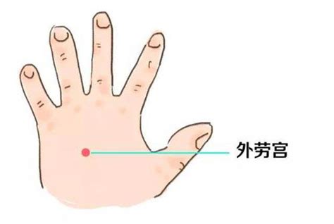 四缝的准确位置图图片 四缝的准确位置图图片