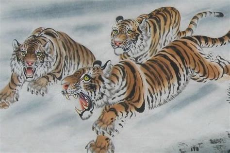 十二生肖之老虎插画图片下载-正版图片402512026-摄图网