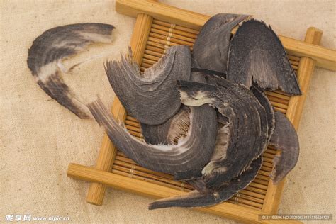 水牛角图片