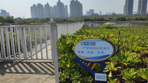 冯家江湿地公园码头已建好，何时开通游艇旅游线令人期待
