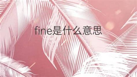 fine是什么意思 fine的翻译、读音、例句、中文解释 – 下午有课