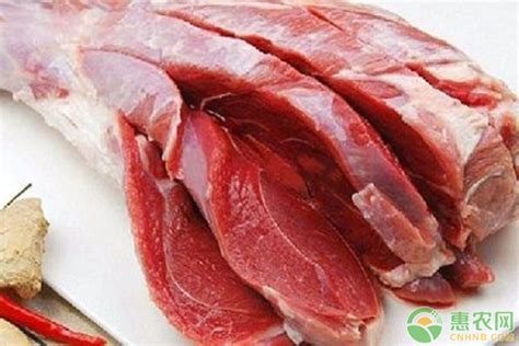 2020年山羊肉多少钱一斤？2020年山羊肉价格行情预测 - 惠农网