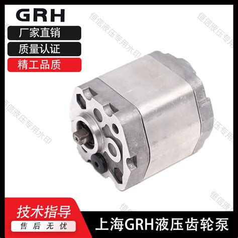上海国瑞GRH齿轮泵Groupo液压泵0PF0.16L07B01 0PF0.25L07B01油泵-淘宝网