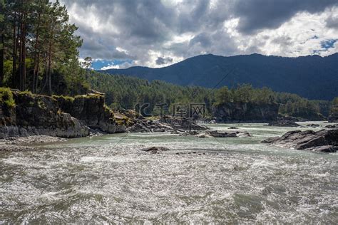 冰川国家公园激流湍急的河流与树林图片-千叶网
