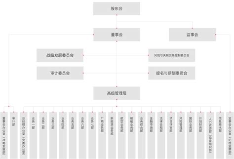 组织架构 - 四川华西金融控股股份有限公司