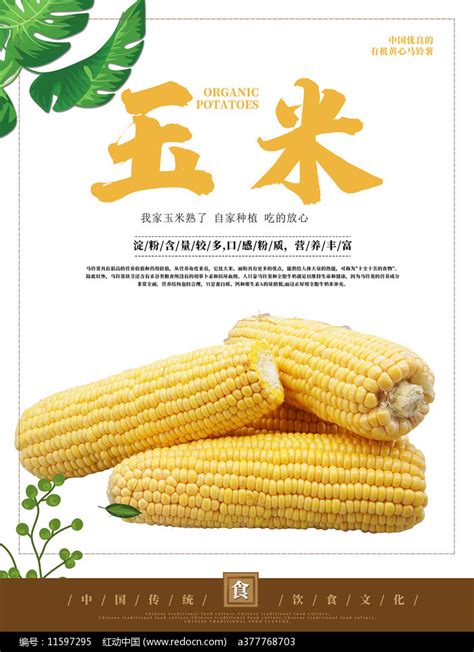 玉米促销海报设计素材_餐饮美食图片_海报图片_第4张_红动中国