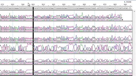 科学网—整合基因组学和蛋白质结构的致病机制分析 - 陈同的博文