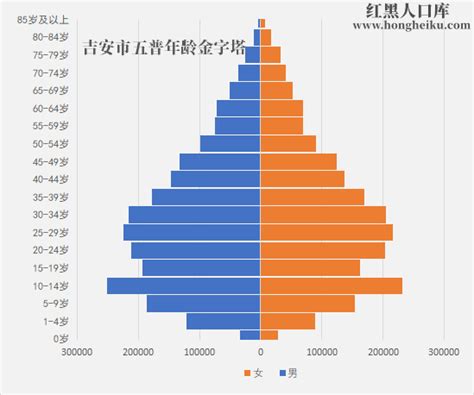 2015-2019年吉安市常住人口数量、户籍人口数量及人口结构分析_华经情报网_华经产业研究院