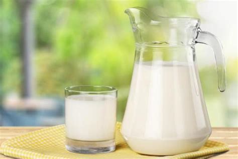 纯牛奶和酸奶的区别 纯奶和酸奶哪个提高免疫力_食品饮料_聚货星球网