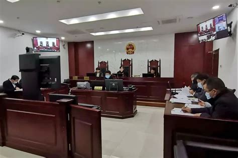 洛阳西工区法院一审集中宣判两起传销恶势力犯罪案-大河新闻