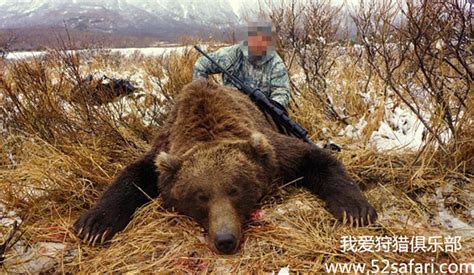 俄罗斯大汉挑战世界上最大的熊，十秒钟后彻底颠覆你的认知！_腾讯视频