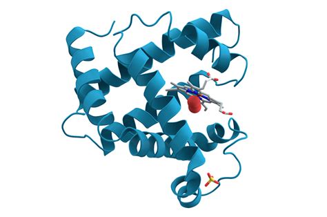 高效预测几乎所有人类蛋白质结构，AlphaFold再登Nature__凤凰网