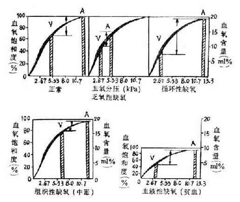 缺氧时机体的机能代谢变化_《病理生理学》_【中医宝典大全】