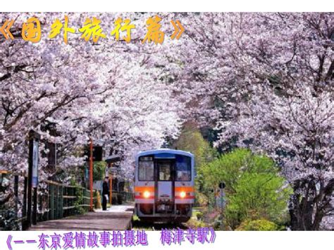 日本梅津寺町图片