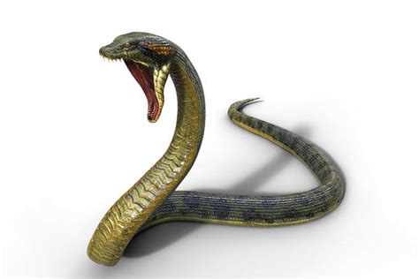 属蛇的年份有哪些 属蛇的年份及年龄对照表 - 万年历