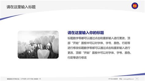 滨州,宣传画册,画册/宣传单/广告,设计,汇图网www.huitu.com