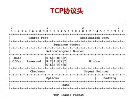 TCP协议图文秒懂 - 知乎