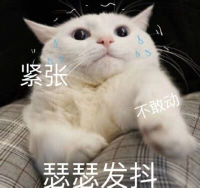 紧张表情包图片