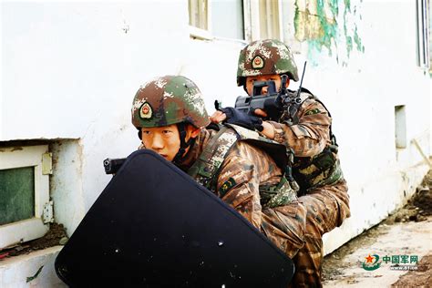 出击！武警兵团总队某部战术演练有看头 - 中国军网